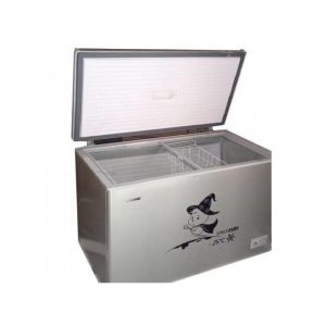 Buy Snowsea BD-450 chest freezer in Benin city Edo state