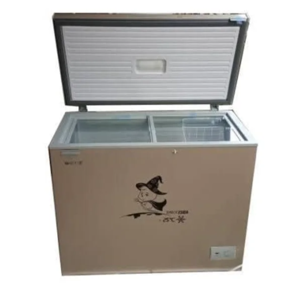 Buy Snowsea BD-258 chest freezer in Benin city Edo state
